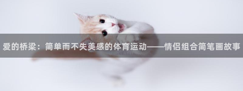 哈哈体育：爱的桥梁：简单而不失美感的体育运动——情侣组合简笔画故事