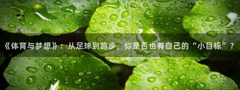 哈哈体育：《体育与梦想》：从足球到跑步，你是否也有自己的“小目标”？