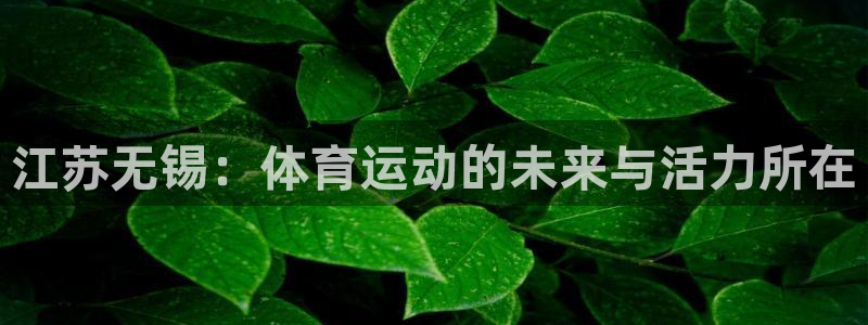 哈哈体育：江苏无锡：体育运动的未来与活力所在