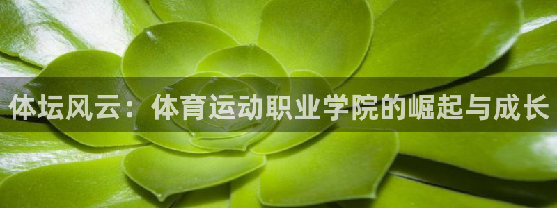 哈哈体育十年：体坛风云：体育运动职业学院的崛起与成长
