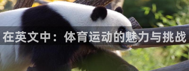 哈哈体育十年：在英文中：体育运动的魅力与挑战