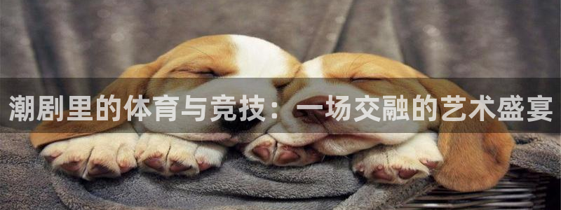 哈哈体育下载：潮剧里的体育与竞技：一场交融的艺术盛宴