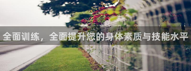 哈哈体育十年：全面训练，全面提升您的身体素质与技能水平