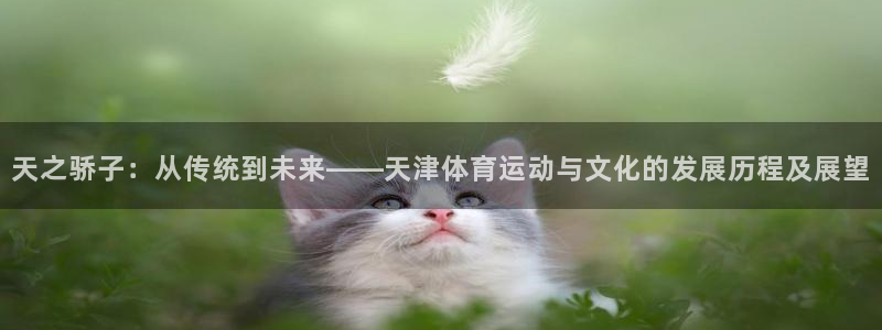 哈哈体育：天之骄子：从传统到未来——天津体育运动与文化的发展历程及展望