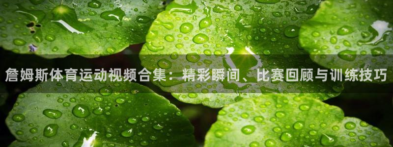 哈哈体育十年：詹姆斯体育运动视频合集：精彩瞬间、比赛回顾与训练技巧