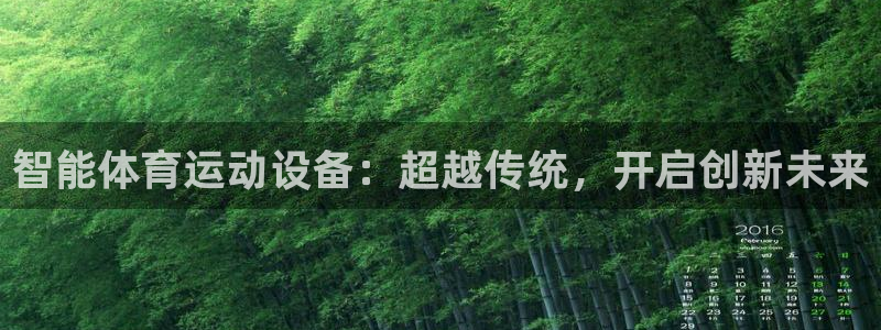 哈哈体育十年：智能体育运动设备：超越传统，开启创新未来